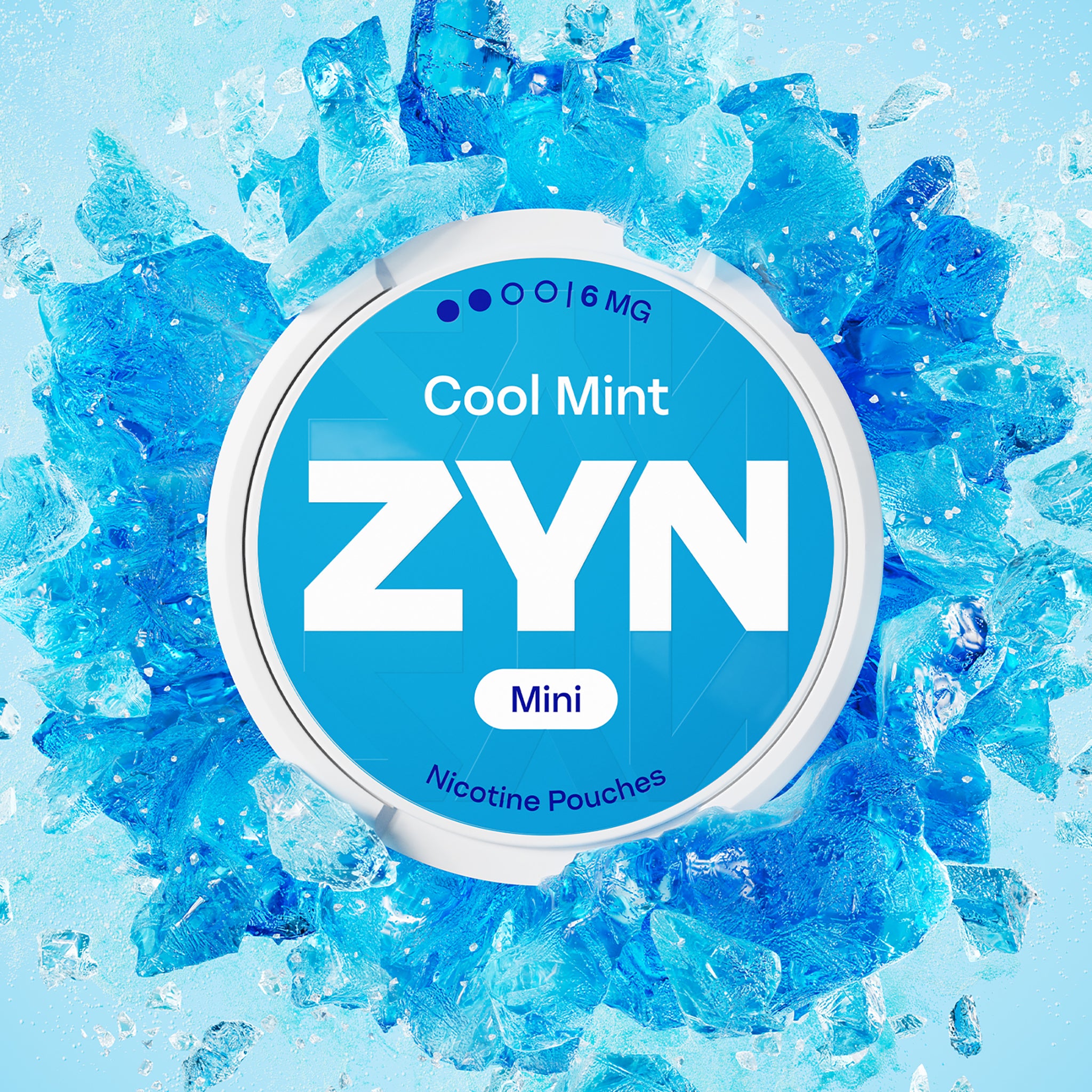 ZYN Dry Red 4mg